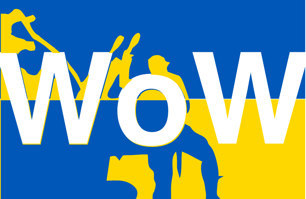 Simply Wow Meaning for Strategist