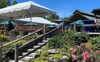 Julys 4  SEO Analysis Events Near Winery Warwick NY