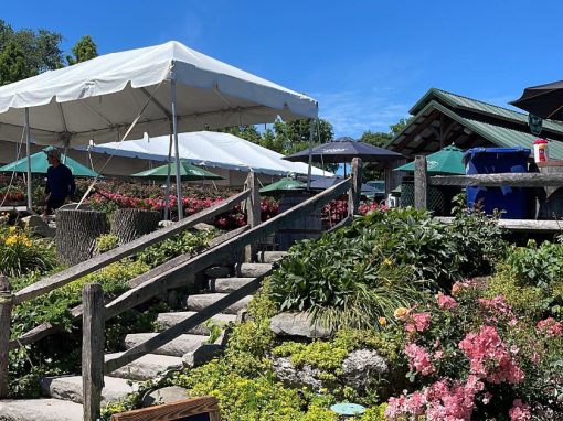 Julys 4  SEO Analysis Events Near Winery Warwick NY