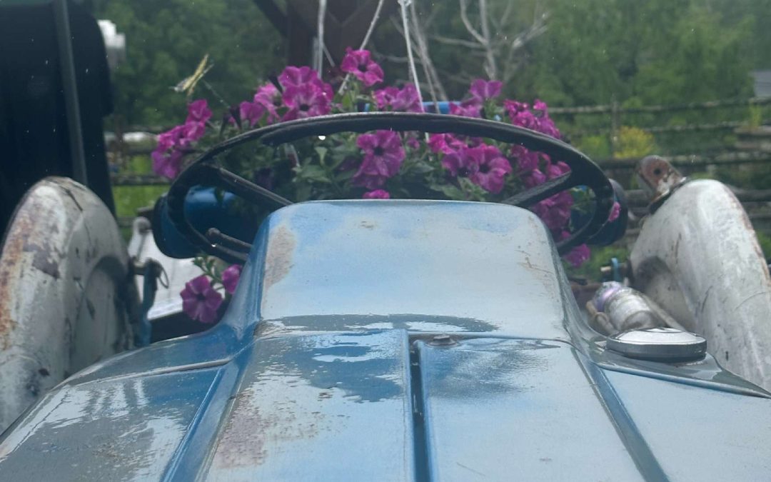 Celebrating Nature’s Artistry: A Day of Pollination at Warwick Valley Winery, NY