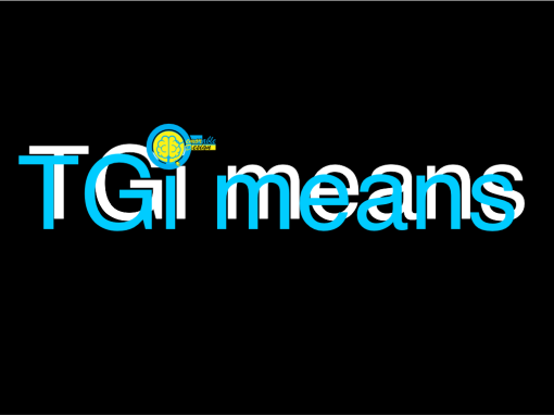 What is SEO optimization, or my meaning of TGi
