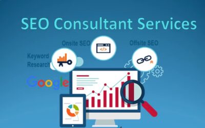 Hire An SEO Expert Consultant To Raise Your Site’s Position