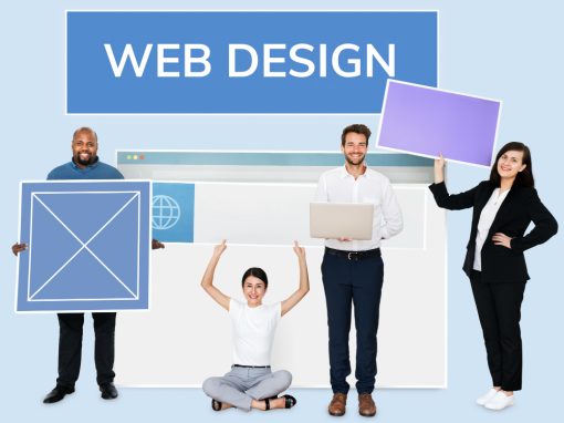 WordPress Guide: Design, Customize, and Grow Fast