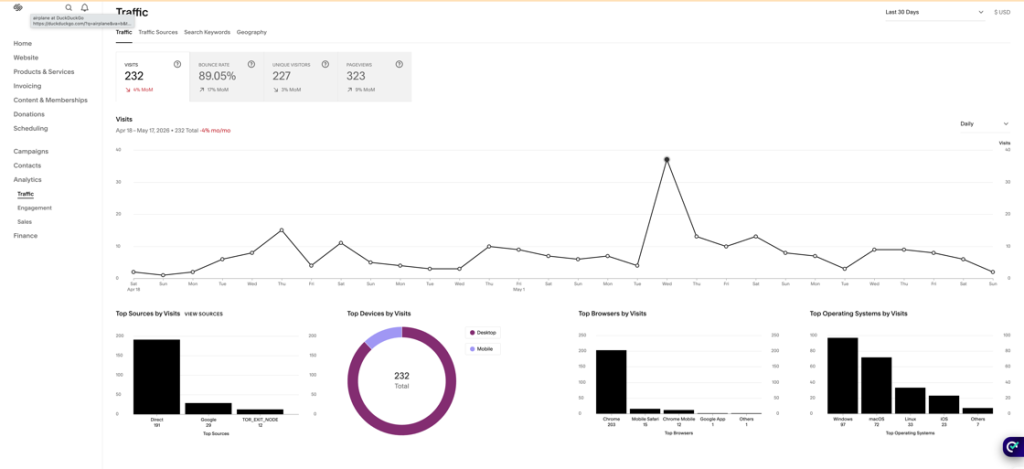 Website traffic analytics and statistics in my Squarespace account