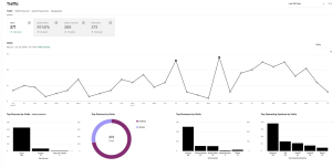 Website  squarespace site raffic analytics and statistics