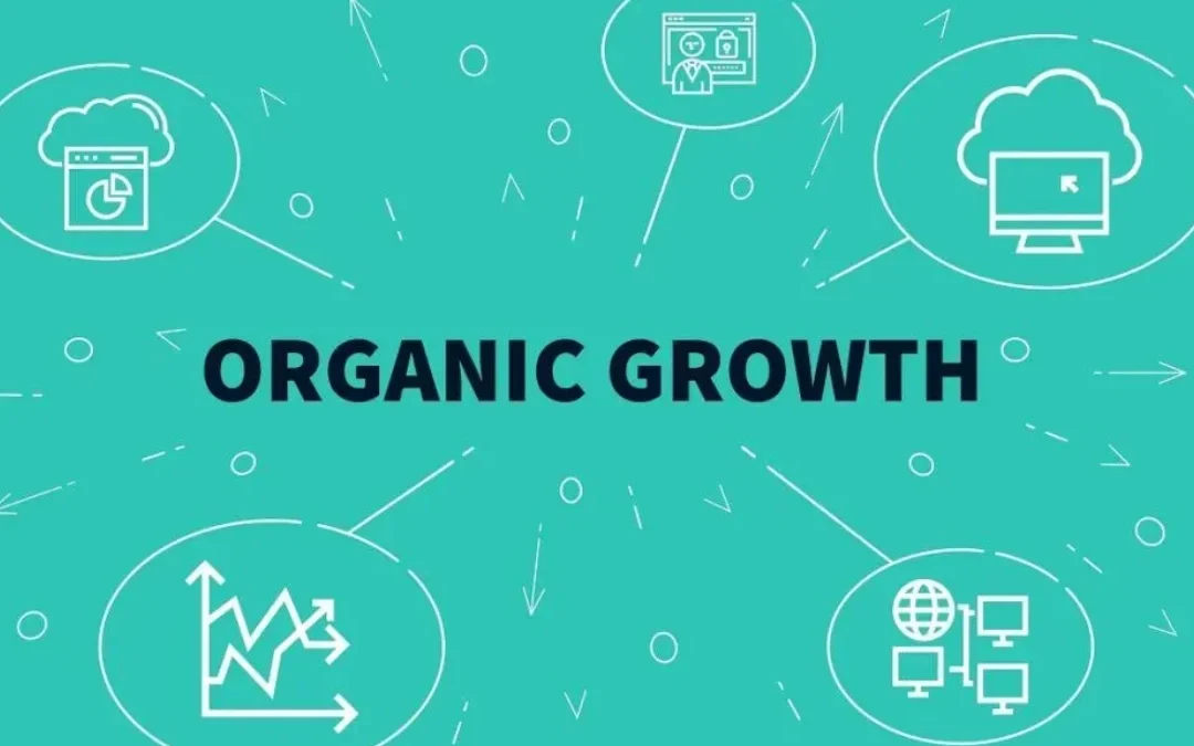 Organic Growth Marketing Strategies to Grow Faster in 2026