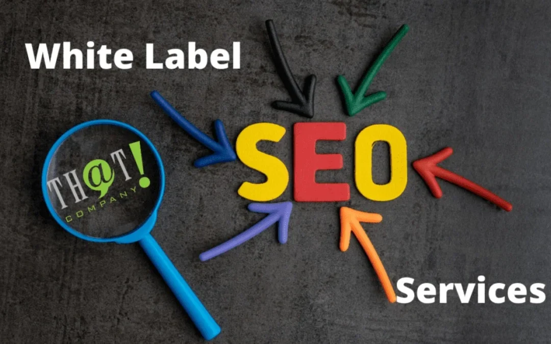7 Best White Label SEO Reporting Tools: Costs, Limits & Branding